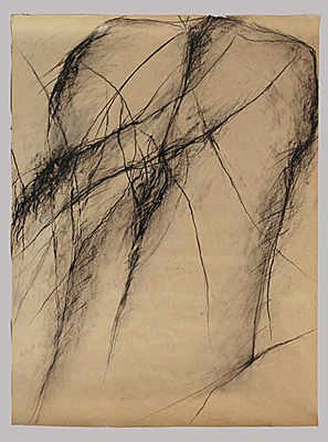 Paul Schinner, „Rühr mich nicht an“, Bleistiftzeichnung, Feb. 2012, 134 x 100 cm