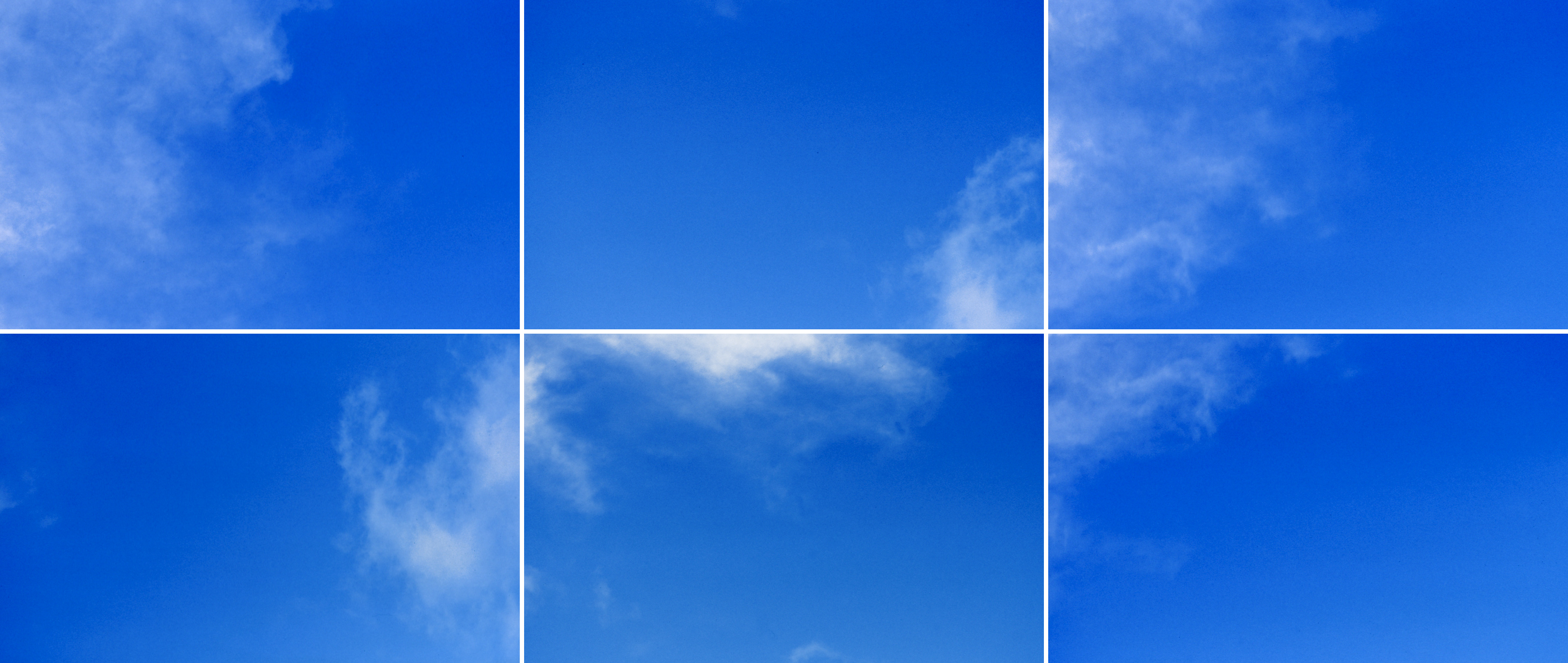 Blau1, Martin Rosner